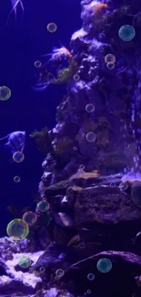 Serene underwater aquarium with colorful fish and bubbles.