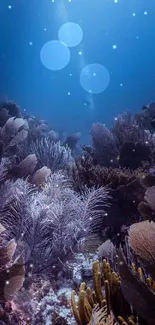 Mystical underwater coral scene with vibrant marine life.