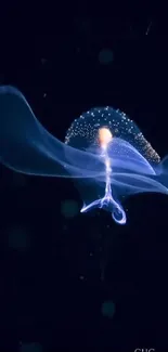 Ethereal jellyfish glows in dark ocean scene