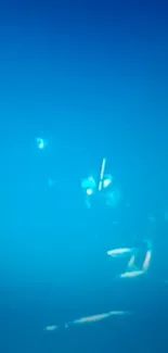 Underwater scene with diver in deep blue hues.