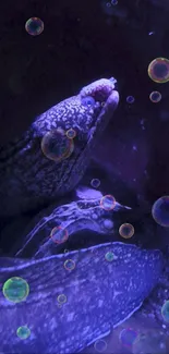 Eel swimming with bubbles in dark purple underwater scene.