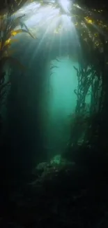 Mystical underwater forest with sunlight filtering through seaweed.