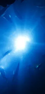 Underwater scene with fish and radiant blue light.