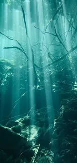 Mystical underwater scene with beams of light penetrating water.