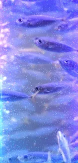 Shimmering fish swim through blue light in aquatic mobile wallpaper.