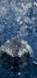 Underwater shark surrounded by ocean bubbles.