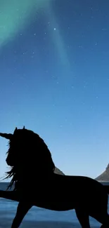 Silhouette of a unicorn against a starry night sky with aurora borealis.