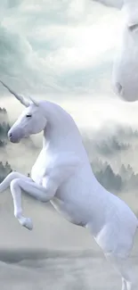 Mystical unicorn in foggy forest wallpaper.