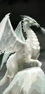 White dragon perched on rock in fantasy setting.