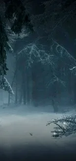 A serene winter forest with snow-covered trees and a tranquil path.