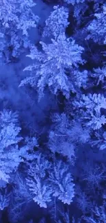 Aerial view of snow-covered forest in blue tones, serene winter scene.