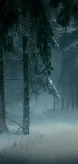 Misty forest path enveloped in snow and winter fog.