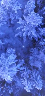 Snowy forest trees from above in winter.