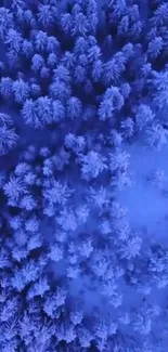 Aerial view of a blue-tinted snowy forest with dense tree coverage.