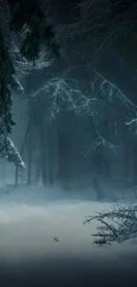 Mystical winter forest with snow-covered trees in a serene setting.