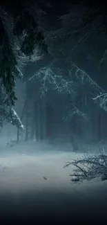 Snow-covered forest path under dark winter trees.