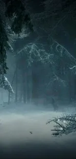 Mystical winter forest with snow-covered trees and dark sky.