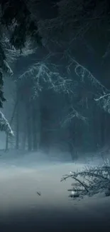 Dark and mystical winter forest with snow-covered ground.