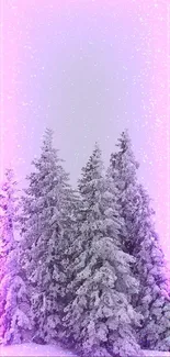 Snowy forest scene with pink aurora glow.