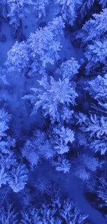 Aerial view of a snowy, mystical winter forest.