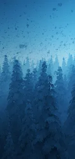 Snowy forest with a blue sky background.