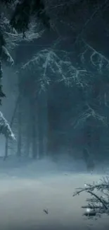 Mystical winter forest with snow-clad trees and mist.