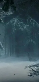 Mysterious snow-covered forest under a dark blue sky, creating a tranquil mood.