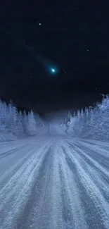 Snowy road at night beneath a starry sky.