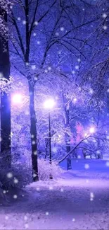 Snow-covered trees with snowy path and glowing lamps in a winter night scene.