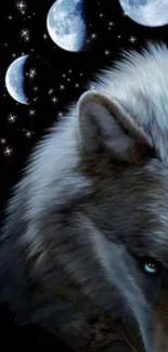 Mystical wolf with moon phases in night sky wallpaper.