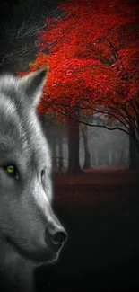 Mystical wolf beside a vivid red tree in a dark forest setting.