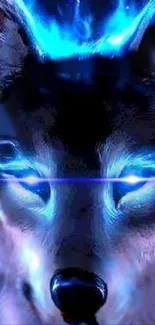 Mystical wolf with blue glowing eyes in a dark vibrant wallpaper.