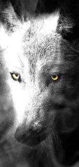 Mystical wolf in dark with striking eyes.