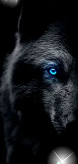 A mystical wolf with a glowing blue eye on a dark background.