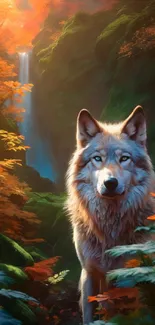 Majestic wolf in orange autumn forest with waterfall.