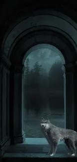 Mystical wolf in a stone archway under moonlight in the forest.