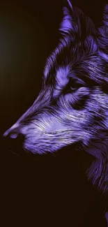 Mystical purple wolf in artistic pose