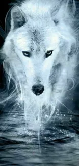 Ethereal white wolf walking through mystical water.