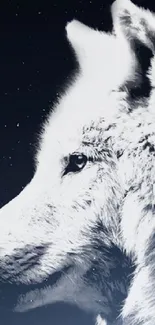 Wolf gazing under a starry moonlit sky, conveying serenity and mystery.