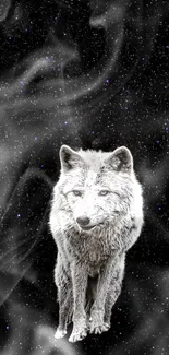 Majestic wolf in a starry, misty night sky wallpaper.