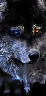 Mystical wolf with dual-colored eyes in a dark forest wallpaper.