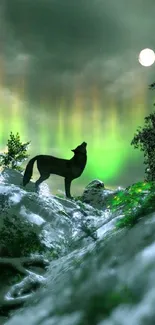 Wolf under aurora in snowy forest landscape with moon.