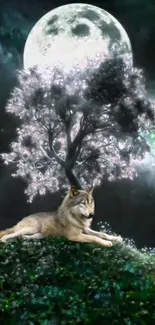 Wolf rests under a tree with a glowing full moon in the background.