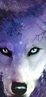 Mystical wolf with piercing eyes under moonlit forest canopy.