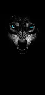 Mystical wolf with blue eyes on black background wallpaper.