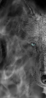 Mystical wolf with blue eyes in a smoky grayscale design.