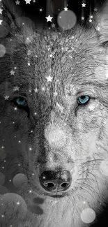 Mystical wolf with blue eyes and starry night sky wallpaper.