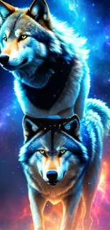 Two wolves in a vibrant galaxy setting with blue hues, perfect for a cosmic wallpaper.