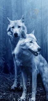 Two wolves stand majestically in a mystical blue forest setting.