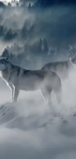 Two wolves standing on a snowy, foggy forest landscape.